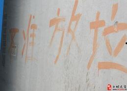 白城电梯最新爆料,揭秘安全隐患与整改措施 第1张 白城电梯最新爆料,揭秘安全隐患与整改措施 第1张